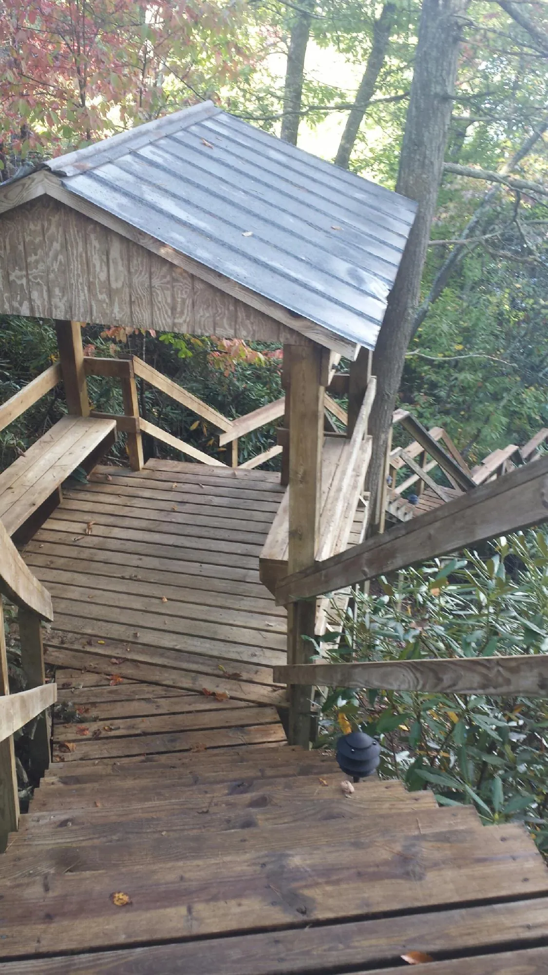 Metal roofed shelter over wooden steps on a wooded walkway — Skylight Repair & Installation work by our crew in Port Townsend