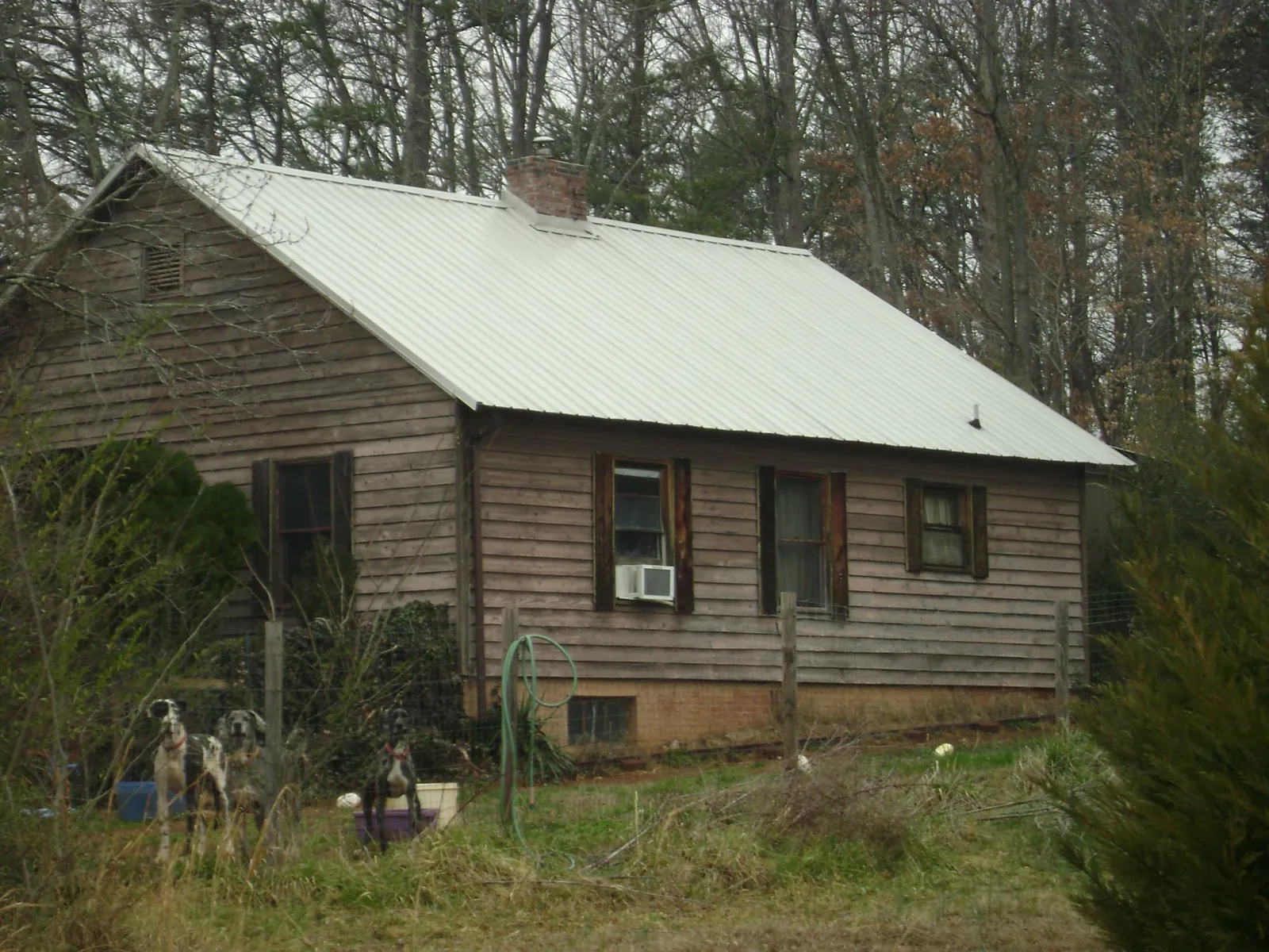 White metal roof on an old wood sided farmhouse, from a Metal Roof Installation job in Port Townsend